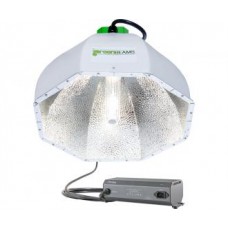 Greenbeams CMh Reflector w/Phantom CMh/4200k Lamp